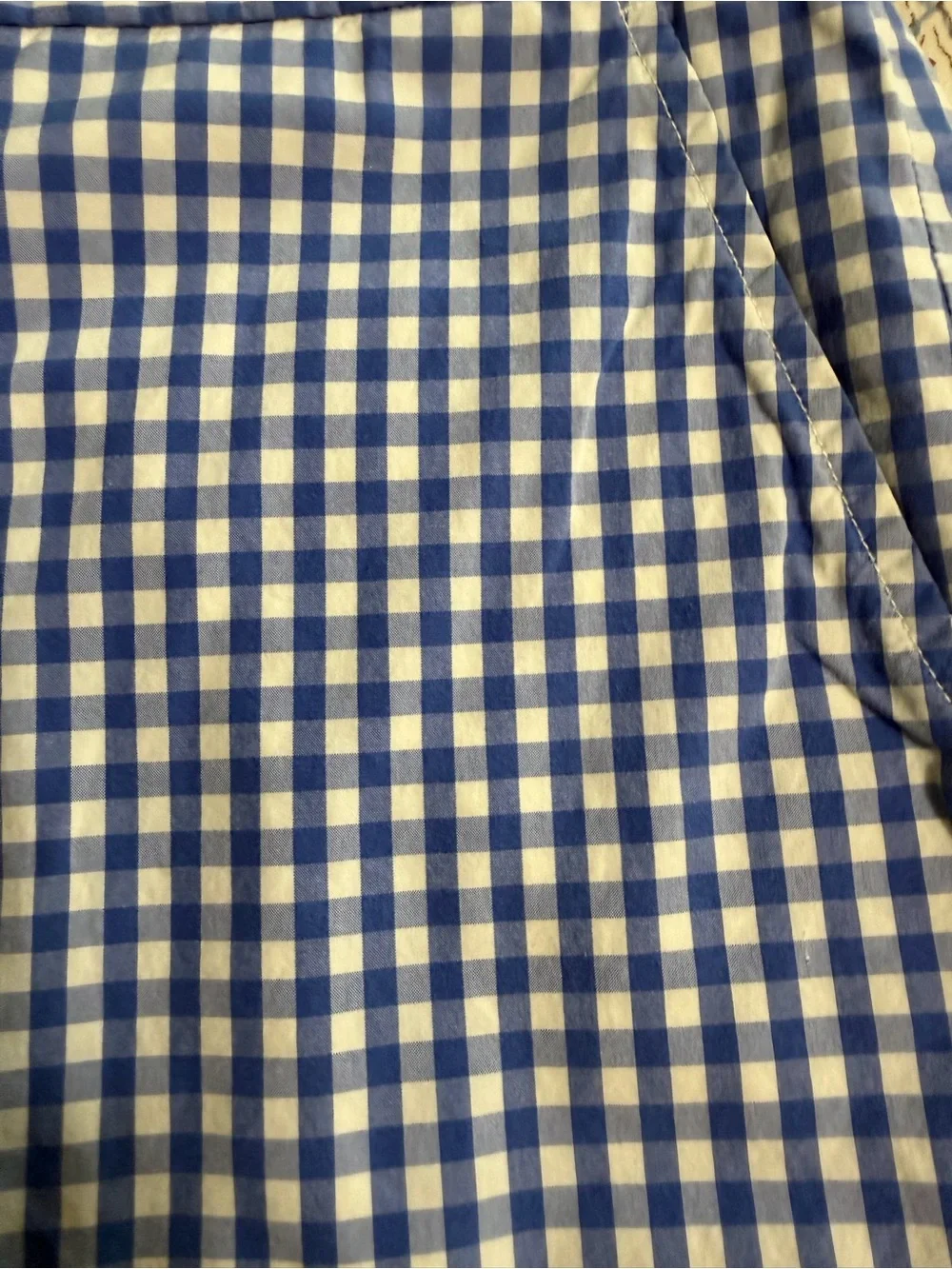 Polo by Ralph Lauren Blue and White Gingham Flat-Front Shorts